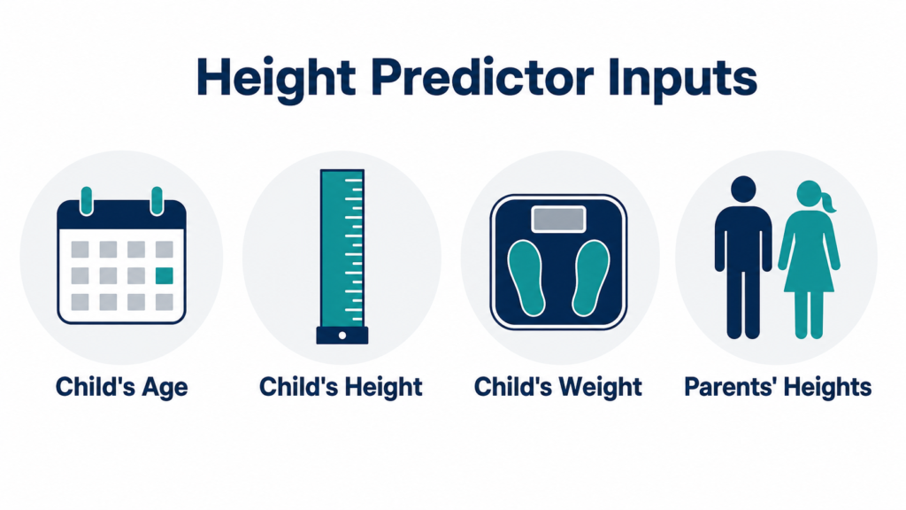 Infographic detailing the four inputs needed for the Khamis-Roche method: child's current age, child's current height, child's current weight, and the heights of both biological parents.